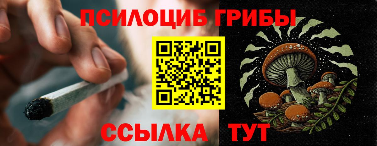 Галлюциногенные грибы мицелий Асино