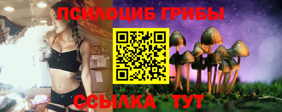 Асино  Псилоцибиновые грибы прущие грибы  Псилоцибиновые грибы прущие грибы  Вход с VPN 